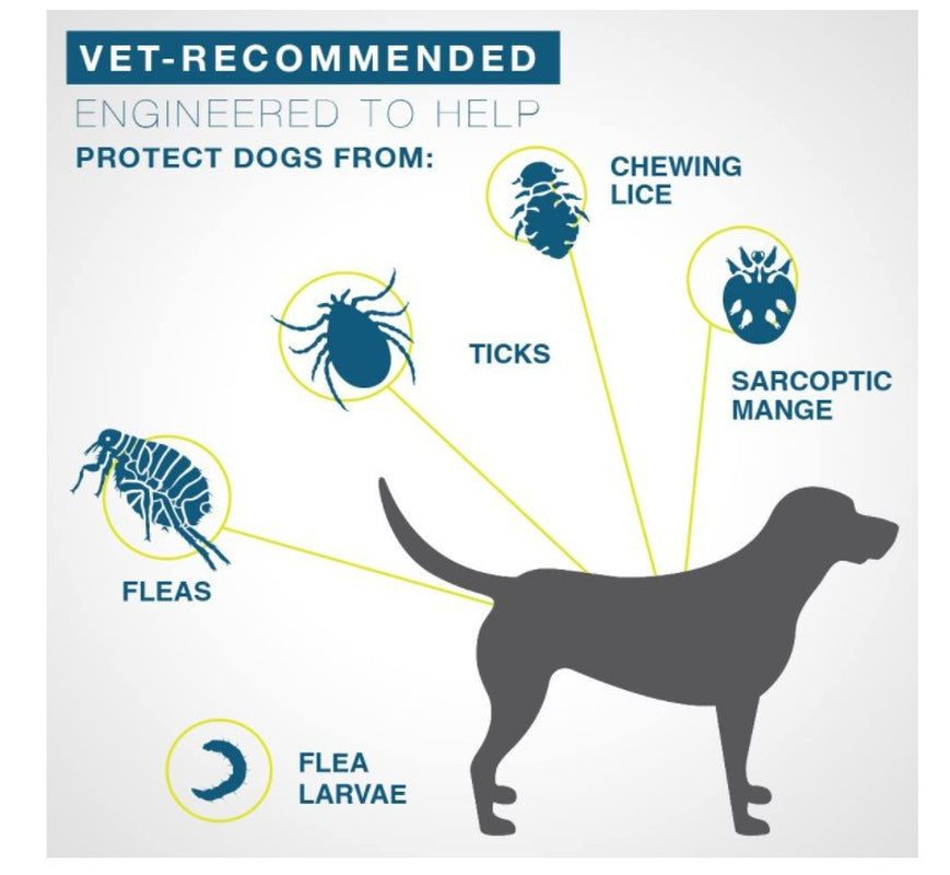 Pet Insect Repellent Small and Medium-Sized Dogs and Cats Insect Repellent Collar