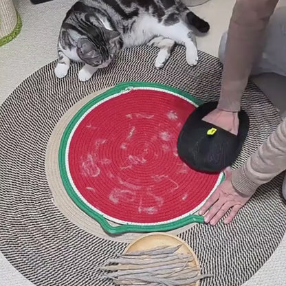 Premium Pet Hair Remover Glove