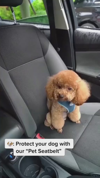The SafeDrive Pet Seat Belt™