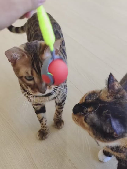 The Intelli-Pounce™ Smart Cat Ball